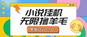 最新小说挂G自撸玩法本人实操单窗口20-50+可矩阵放大操作【揭秘】-虚拟资源库