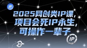 2025网创类IP课,项目会死IP永生,可操作一辈子-虚拟资源库