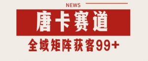 唐卡赛道私域引流获客 自热矩阵SOP日引流99+精准客资【揭秘】-虚拟资源库