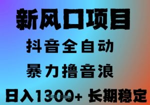 最新风口抖音无人直播撸音浪,全自动运行,小白可玩,长期稳定,日入1.3k,可批量收益翻倍【揭秘】-虚拟资源库
