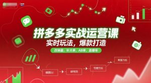 拼多多实战运营课，实时玩法，爆款打造，改销量，补大单，AB单，直播等（更新2025月）-虚拟资源库