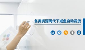 各类资源网代下咸鱼自动发货-虚拟资源库