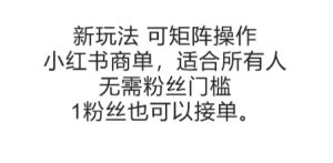 可矩阵操作,小红书商单新玩法,适合所有人,无需粉丝门槛,1粉丝也可以接单-虚拟资源库