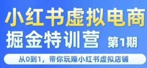 小红书虚拟电商掘金特训营第1期,从0到1,带你玩转小红书虚拟店铺-虚拟资源库