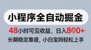 微信小程序全自动掘金,快速见收益,长期稳定靠谱,零基础友好,日入8张【揭秘】-虚拟资源库