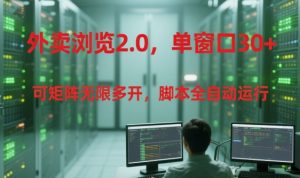 外卖浏览2.0,单窗口30+可矩阵无限多开,脚本全自动运行【揭秘】-虚拟资源库