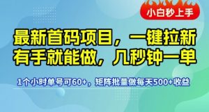 最新首码项目,一键拉新有手就能做,几秒钟一单,1个小时单号可60+,矩阵批量做每天5张【揭秘】-虚拟资源库