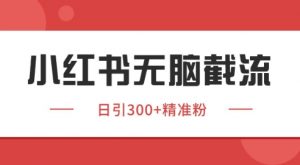 小红书截流同行客源,独家野路子获客玩法 日引200+暴力获客【揭秘】-虚拟资源库