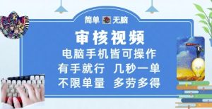 审核视频,电脑手机皆可操作,有手就行,几秒一单,不限单量,多劳多得【揭秘】-虚拟资源库
