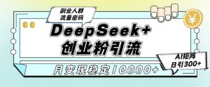 DeepSeek+创业粉精准引流,全新分享课4.0玩法,AI矩阵日引300+,多种变现方式,稳定月入1W-虚拟资源库