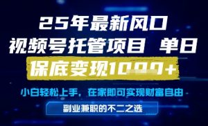25年最新风口,视频号托管项目,单日保底变现1k+,手把手教学【揭秘】-虚拟资源库