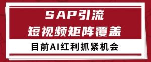 小红书某音sap赛道引流获客 自热矩阵日引200+【揭秘】-虚拟资源库