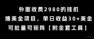 外面收费2980的挂G撸美金项目,单日收益30+美金,可批量可矩阵【揭秘】-虚拟资源库