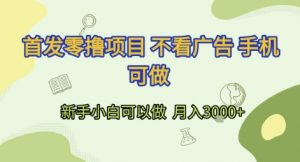 首发零撸项目 不看广告 手机可做 新手小白可以做 月入3k+【揭秘】-虚拟资源库
