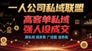 一人公司私域联盟,高客单私域,强人设成交,建私域 搞发售 广结盟 造势能-虚拟资源库