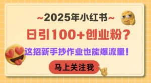2025年小红书日引100+创业粉?这招新手抄作业也能爆流量!-虚拟资源库
