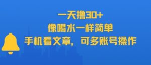 一天撸30+，像喝水一样简单，手机看文章，可多账号操作-虚拟资源库