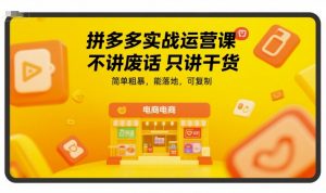 拼多多实战运营课,不讲废话只讲干货,简单粗暴,能落地,可复制-虚拟资源库