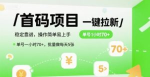 首码一键拉新项目,稳定靠谱,操作简单易上手,单号一小时70+,批量做每天5张【揭秘】-虚拟资源库