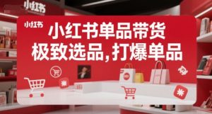 小红书单品带货,极致选品,打爆单品(更新)-虚拟资源库