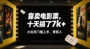 靠卖电影票,十天搞了7k+,小白无门槛上手,零投入【揭秘】-虚拟资源库