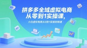 拼多多全域虚拟电商从零到1实操课，小白虚拟电商从0到1实操到精通-虚拟资源库