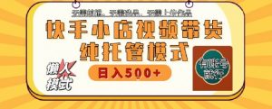 快手小店托管代运营,无需剪辑,无需选品,无需上传作品,全程无需操作,轻松月入5k+【揭秘】-虚拟资源库