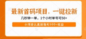 最新首码项目，操作最简单，收益高，一键拉新，1个小时单号可50+，小项目认真做每天5张+收益【揭秘】-虚拟资源库