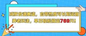 减肥食谱赛道，自带热度可长期运营，养老玩法，单日轻松搞定769-虚拟资源库