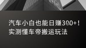 汽车小白也能日入3张！实测懂车帝搬运玩法-虚拟资源库