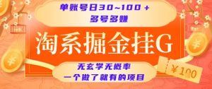 淘系掘金挂G项目,单账号日收益30~100+,多号多得,一个做了就有的项目【揭秘】-虚拟资源库
