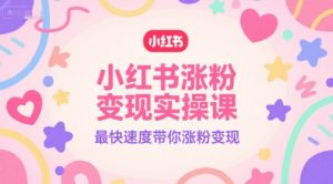 小红书涨粉变现实操课,最快速度带你涨粉变现-虚拟资源库