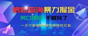 信息查询暴力掘金,一天三条视频,轻松变现四位数,风口项目干就完了【揭秘】-虚拟资源库