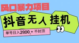 2025最新抖音暴力挂G撸金项目,单号产出2k+ ,小白当天也能拿结果,长期稳定做的项目【揭秘】-虚拟资源库