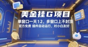 美金挂G项目,单窗口一天12,多窗口上不封顶,官方免费插件自动运行,对小白友好【揭秘】-虚拟资源库