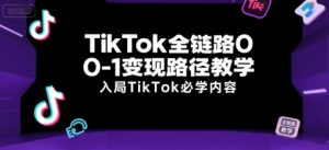 TikTok全链路0-1变现路径教学,入局TikTok必学内容-虚拟资源库