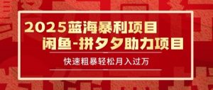 2025 最新闲鱼蓝海暴利项目 快速粗暴让你月入过1W不是梦,保姆级教程【揭秘】-虚拟资源库