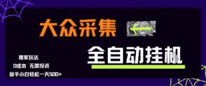 大众采集全自动玩法，新手小白轻松一天5张+，操作简单零成本【揭秘】-虚拟资源库