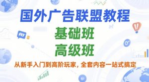 国外广告联盟教程，基础班和高级班，从新手入门到高阶玩家，全套内容一站式搞定-虚拟资源库