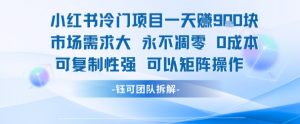 小红书冷门项目一天收益9张，市场需求大，0成本，可复制性强可以矩阵操作-虚拟资源库