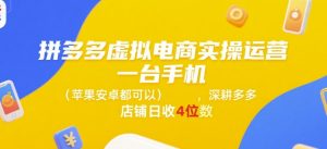 拼多多虚拟电商实操运营,一台手机(苹果安卓都可以),深耕多多店铺日收4位数-虚拟资源库
