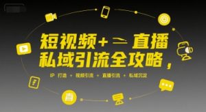 短视频+直播私域引流全攻略,IP打造 +视频引流 +直播引流 +私域沉淀-虚拟资源库