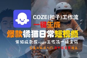COZE(扣子)工作流一键生成爆款橘猫日常短视频,保姆级教程,零基础快速入门-虚拟资源库