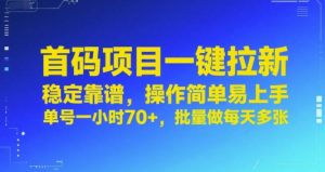 首码项目一键拉新,稳定靠谱,操作简单易上手,单号一小时70+,批量做每天多张【揭秘】-虚拟资源库