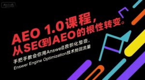 AEO 1.0 课程,从SEO到AE0的基命性转变,手把手教会你用AnswerEngineOptimization技术抢回流量-虚拟资源库