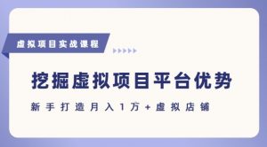 抓住虚拟项目各平台优势,新手轻松月入1W+(给出具体建议)-虚拟资源库