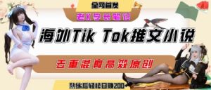 海外tiktok小说推文暴力项目,高停留率,高转化率,上手后一天搞顿饭钱不是问题-虚拟资源库