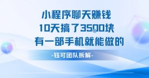 小程序聊天挣钱10天搞了3.5k，有一部手机就能做的-虚拟资源库