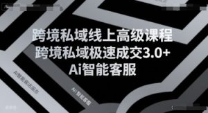 跨境私域线上高级课程,跨境私域极速成交3.0+Ai智能客服-虚拟资源库