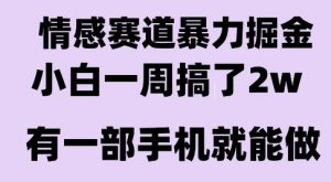 情感暴力掘金项目,新人操作一周挣了2W,长期稳定小白可做【揭秘】-虚拟资源库